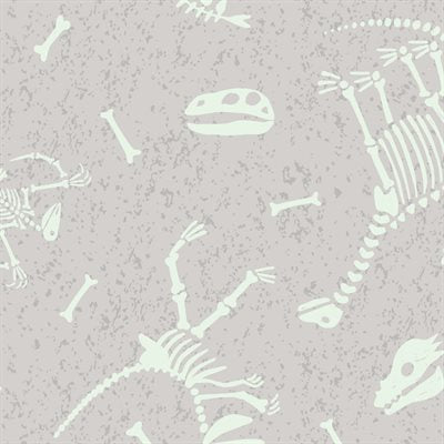 Dino Glow - Dino Skeletons - 6674 1