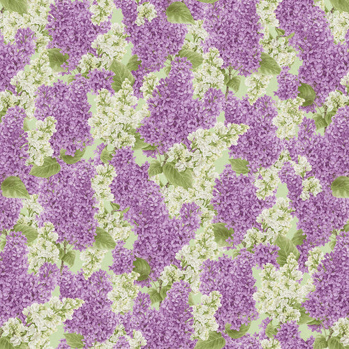 Bloomerang Multi Packed Lilacs - 954-56