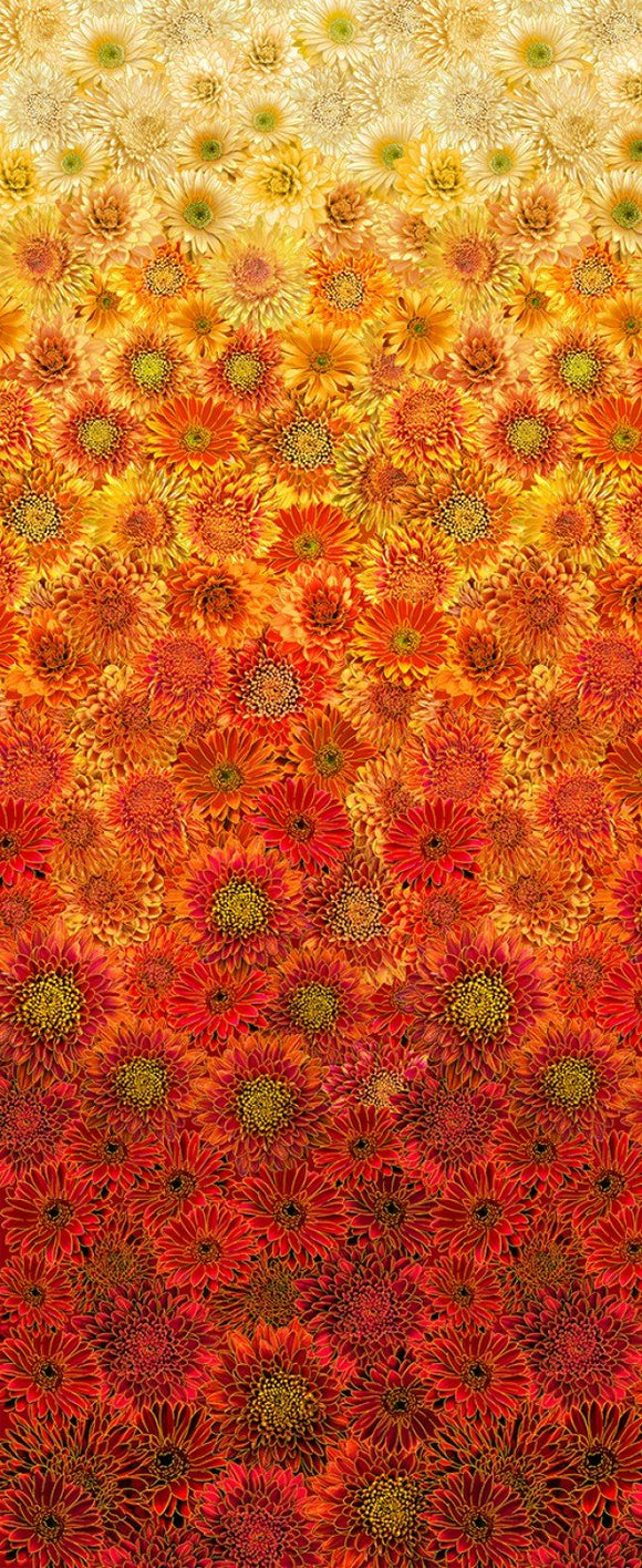 Fall Is In The Air - Harvest - Ombre Metallic Mums - CM2102 AUMTUMN