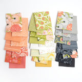 5" Charm Pack - Dandi Duo by Robin Pickens for Moda
