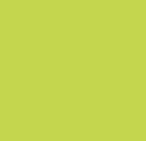 Green Apple Fluffy Flannel Solid - FLUFFY-GRN