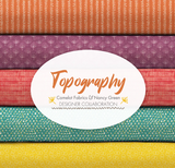 Topography - 10" charms
