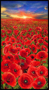 Sunset Poppies - Poppy Field Panel - CD2520 MUL