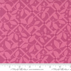 Picnic Pop - Popping Pink Leaf Scroll - 522435 15