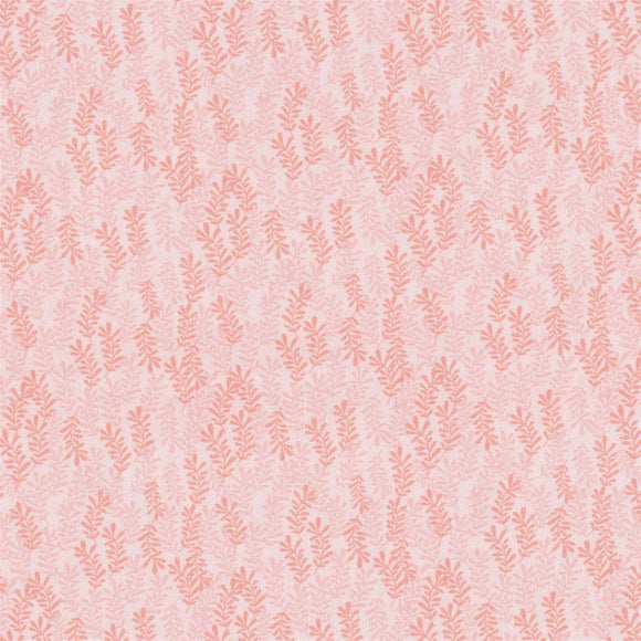 Pink Emmaline Rose - KR20520