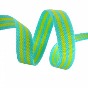 Tula Pink Webbing 2yd x 1in - Lime and Turquoise - TKP-91-2Y-COL04