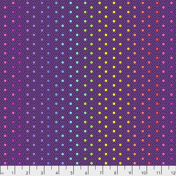 Tula Pink - Hexy Rainbow Starling - PWTP151 STARLING